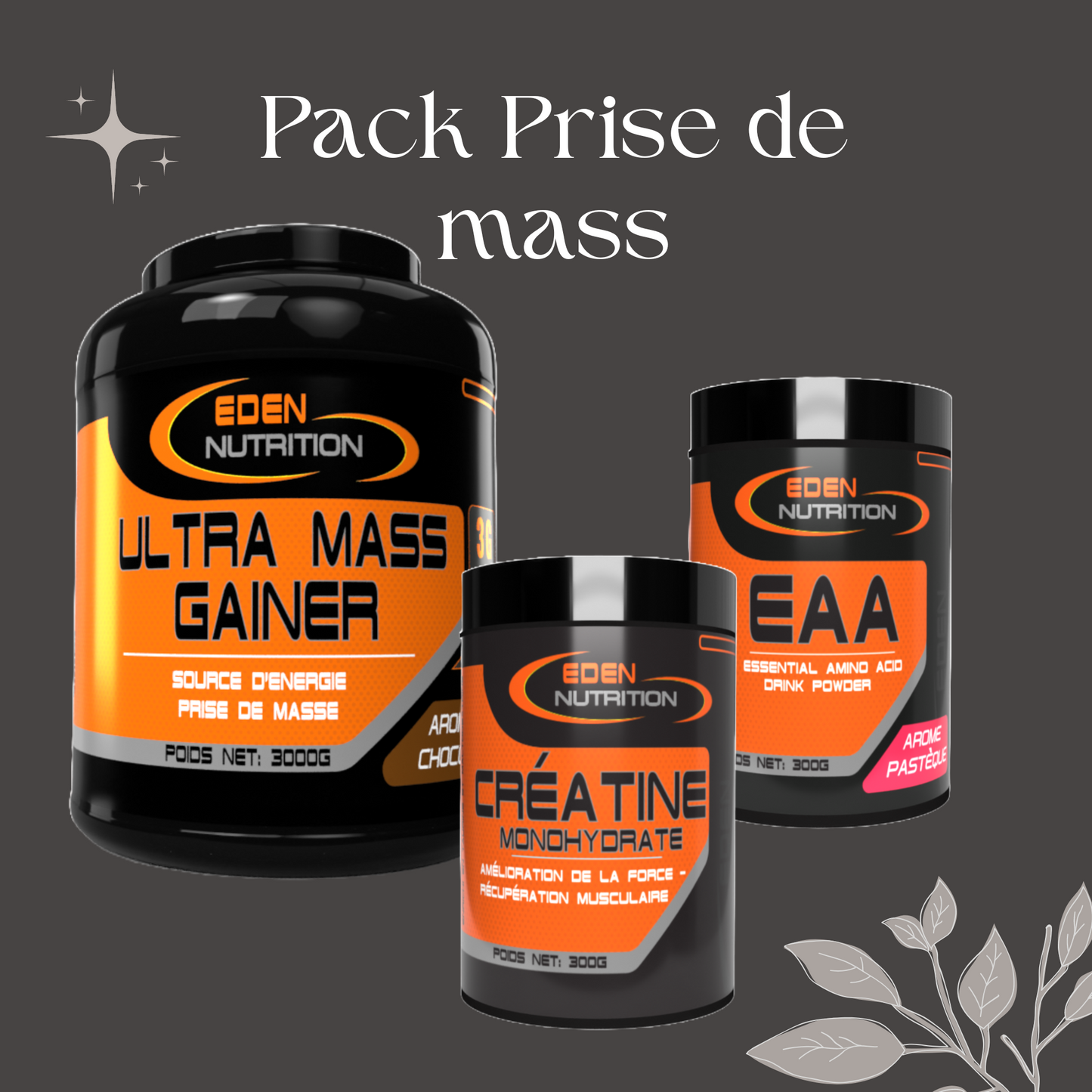 Pack prise de masse