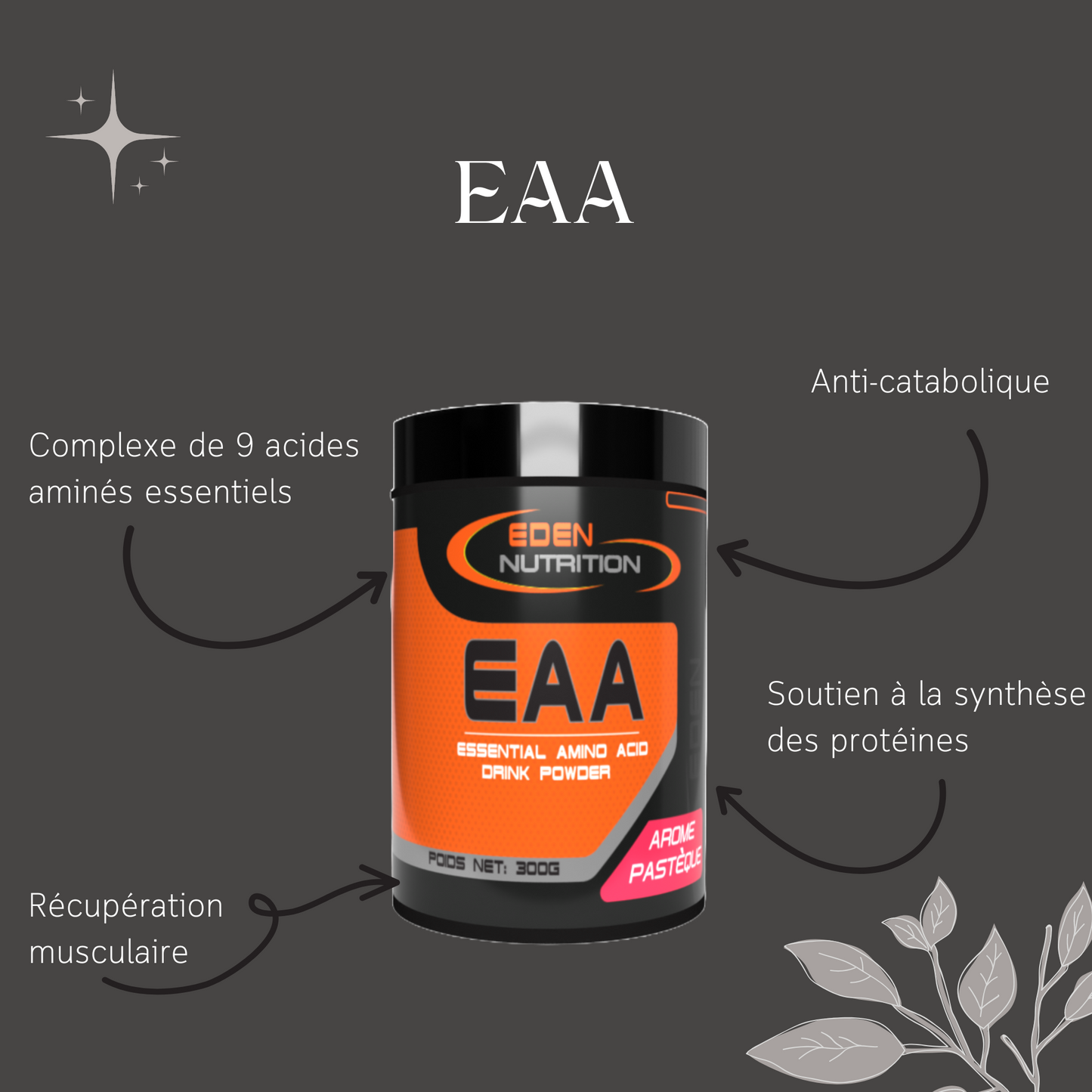 Pack prise de masse